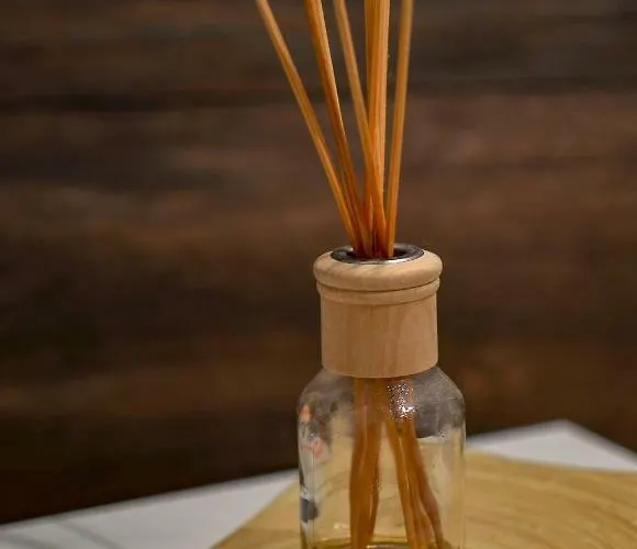 דירה Cute Sunny Kod1